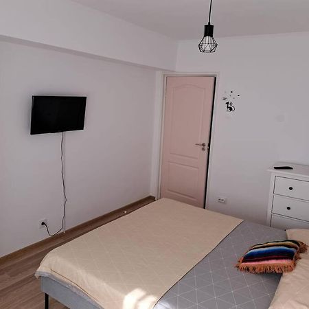 Апартаменти Apartament Titulescu/Banu Manta Бухарест Екстер'єр фото