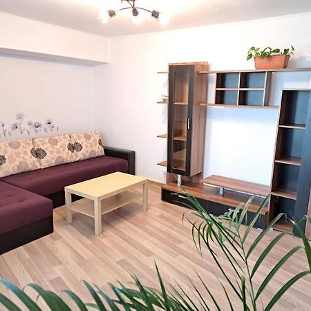 Апартаменти Apartament Titulescu/Banu Manta Бухарест Екстер'єр фото