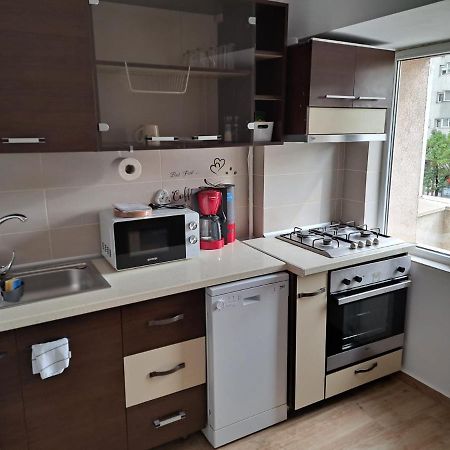 Апартаменти Apartament Titulescu/Banu Manta Бухарест Екстер'єр фото